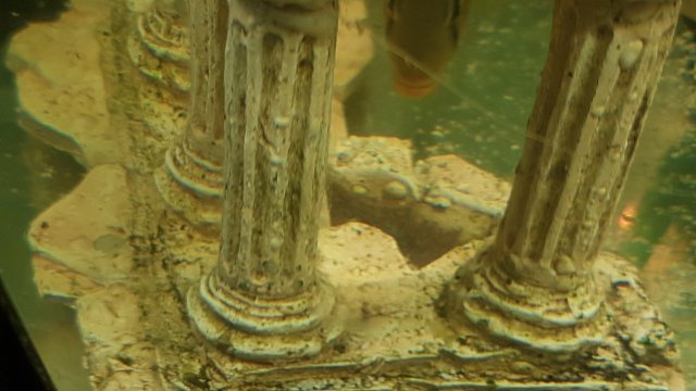 20170331_210840.jpg