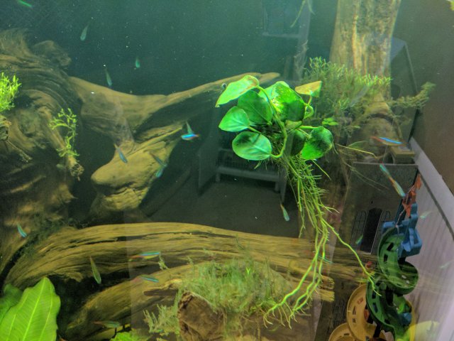 IMG_20170402_091626.jpg