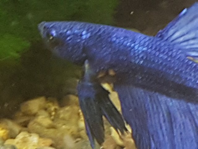 20170410_013404.jpg
