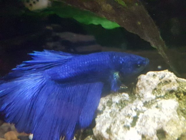 20170410_012138.jpg
