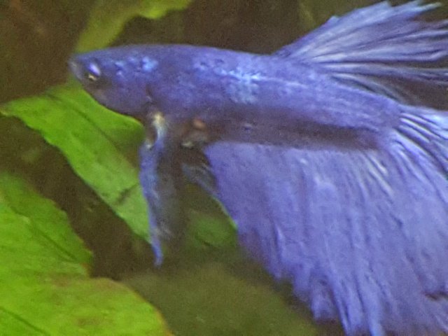 20170410_012327.jpg