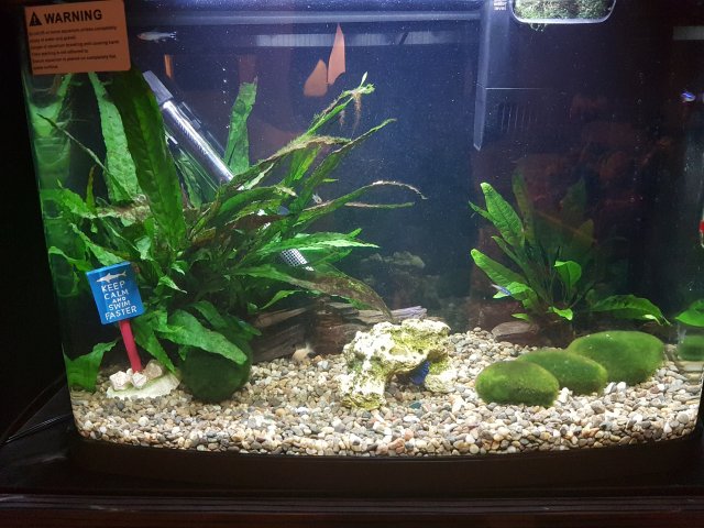 20170410_012834.jpg