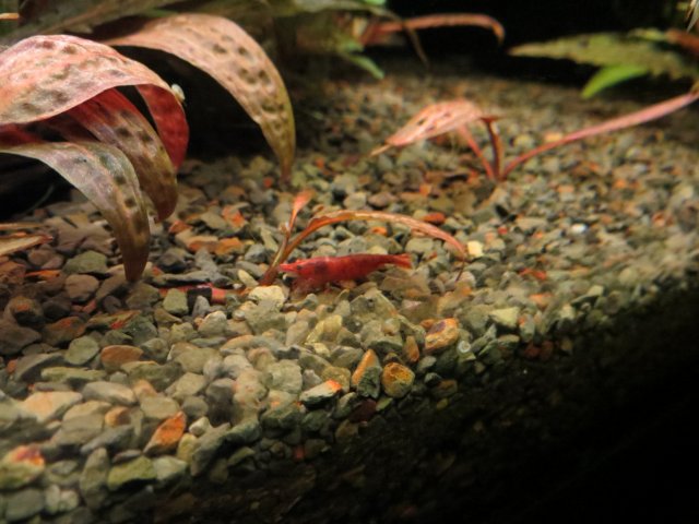 IMG_3381.JPG