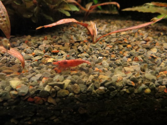 IMG_3377.JPG