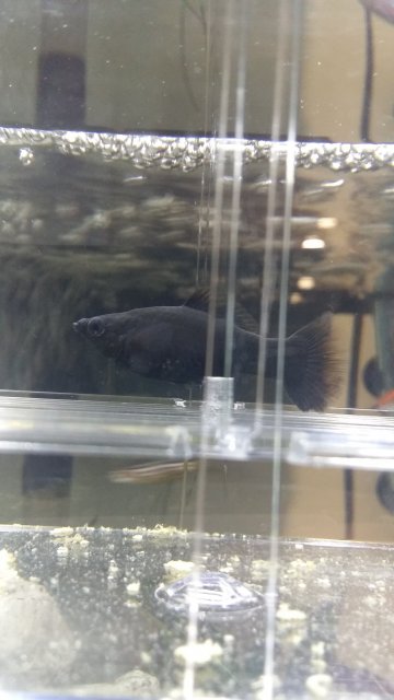 20170504_174431.jpg