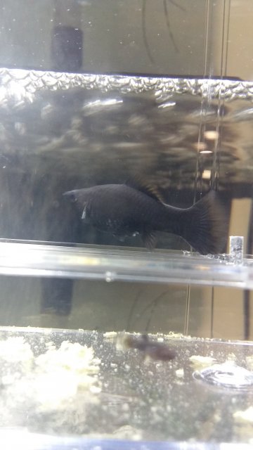 20170504_174435.jpg