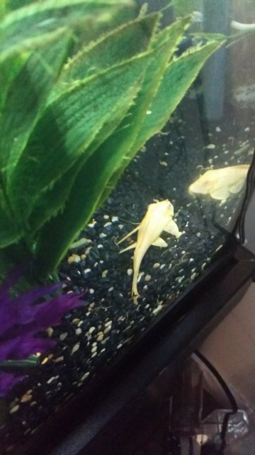 20170504_211423.jpg