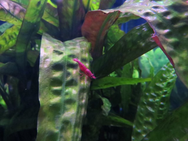 IMG_3476.JPG IMG_3476.JPG
