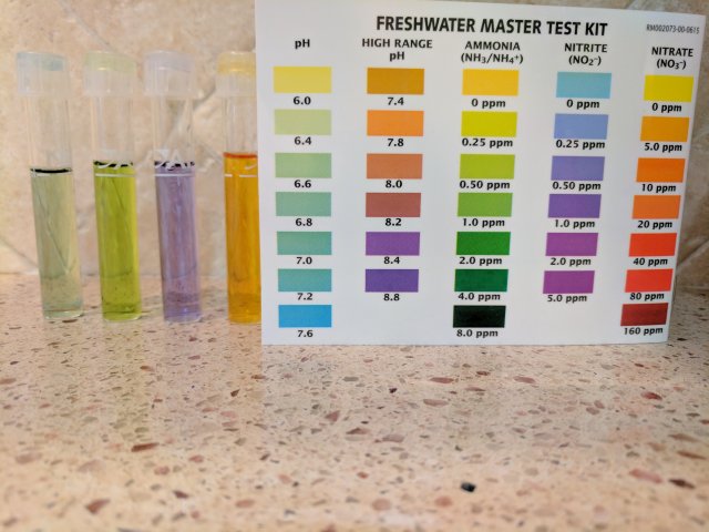 IMG_20170509_085354.jpg IMG_20170509_085354.jpg