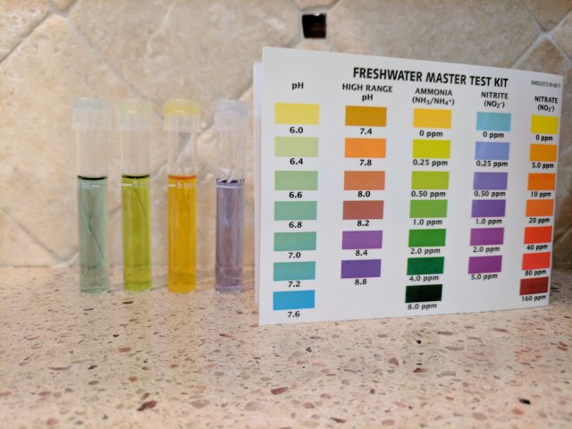 IMG_20170509_093346.jpg IMG_20170509_093346.jpg