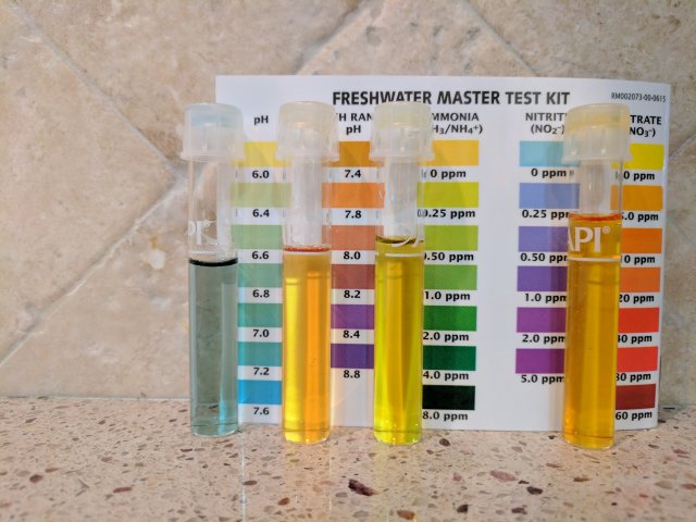 IMG_20170512_183429.jpg IMG_20170512_183429.jpg