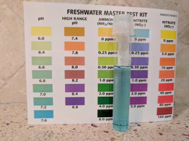 IMG_20170512_183656.jpg IMG_20170512_183656.jpg