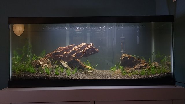 DSC_0123.JPG DSC_0123.JPG