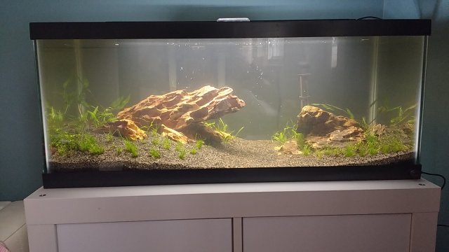 DSC_0136.JPG DSC_0136.JPG