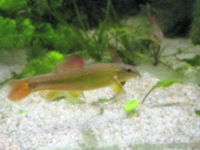 IMG_2544.JPG
