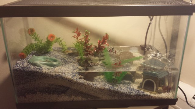 20170623_012733.jpg
