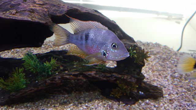 20170702_121024[1].jpg