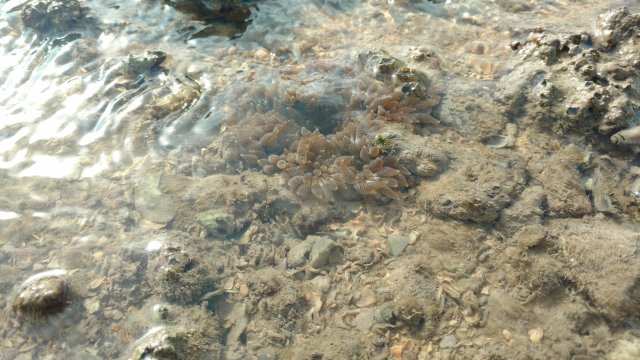 IMG_20170527_084301302.jpg