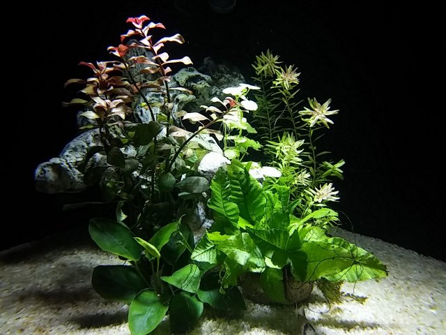 20170710_200748_Night.jpg