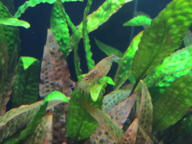 IMG_3596.JPG