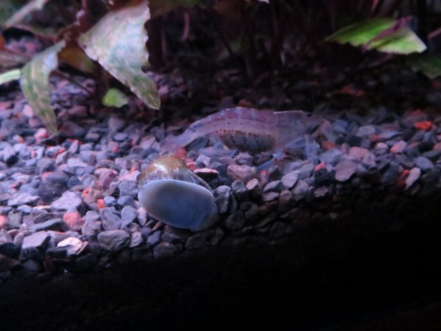 IMG_3605.JPG
