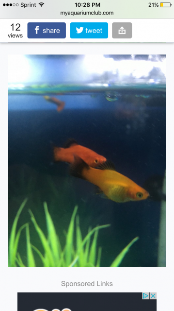 IMG_6165.PNG