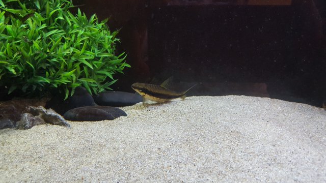 20170728_133404.jpg