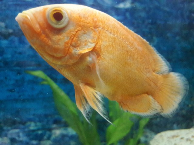 20170724_114121.jpg