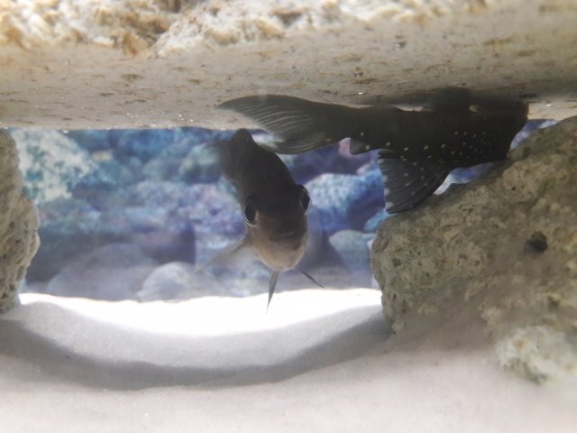 20170724_114437.jpg