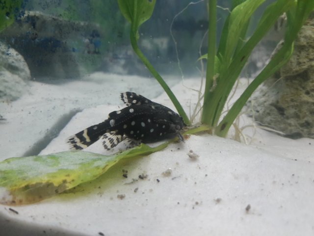 20170715_145907.jpg