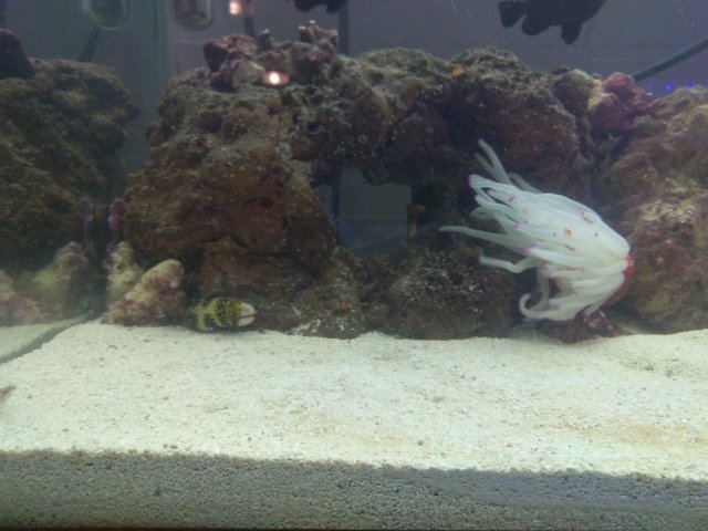 IMG_20170727_205216.jpg