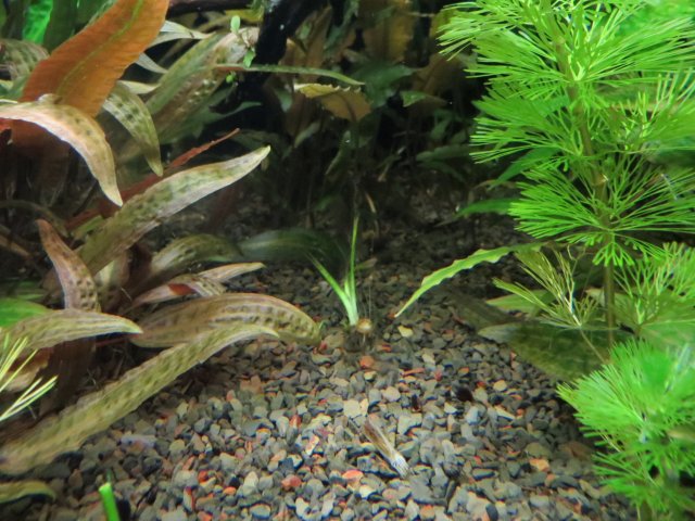 IMG_3758.JPG