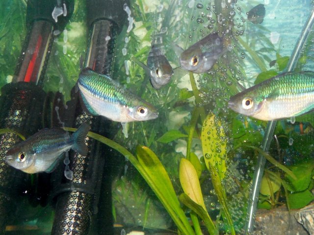 DSCN0008.JPG