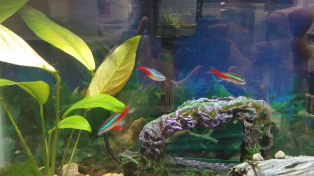 20170930_115154.jpg