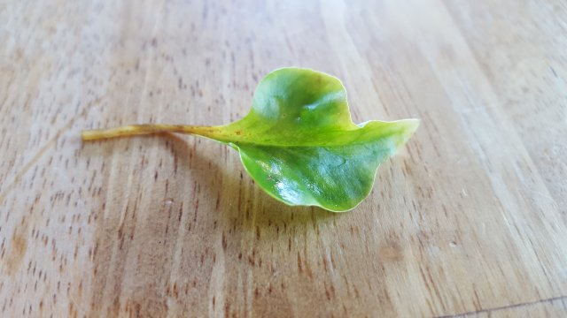 20171109_141510.jpg