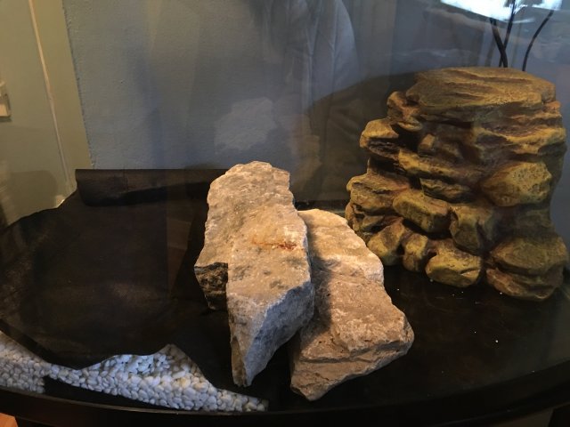 D1409BBA-CEA1-4C59-8C10-414F2339264E.jpeg D1409BBA-CEA1-4C59-8C10-414F2339264E.jpeg