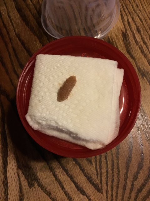image.jpg image.jpg