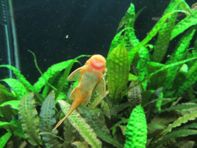 IMG_3983.JPG