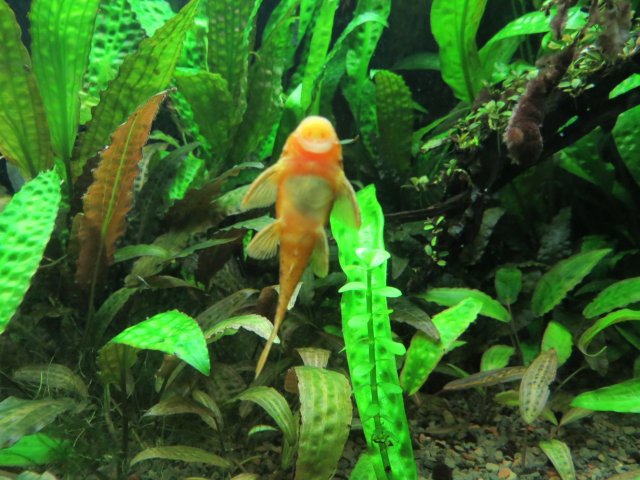 IMG_3985.JPG