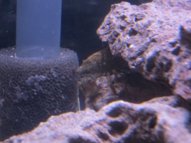 IMG_4000.JPG IMG_4000.JPG