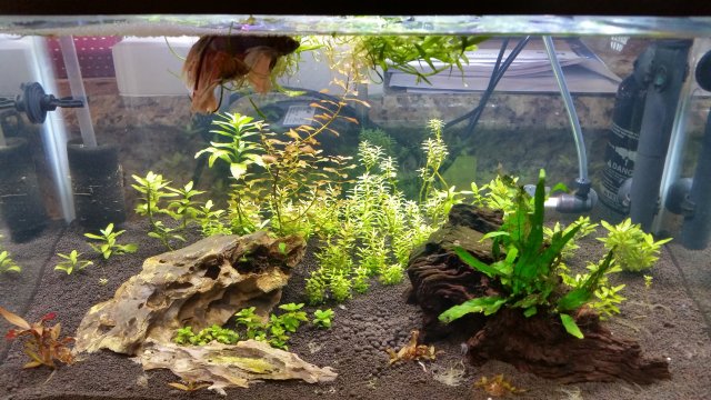 20180309_170145.jpg