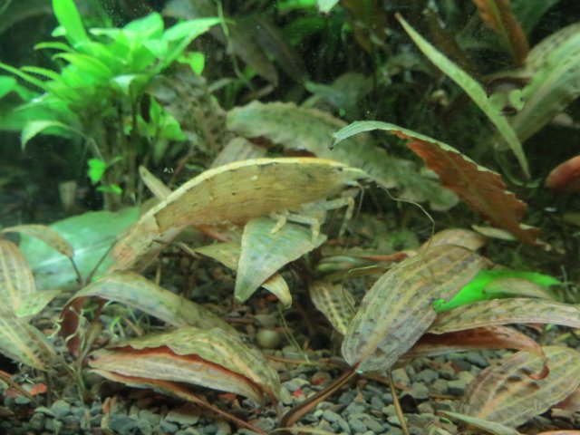 IMG_4034.JPG