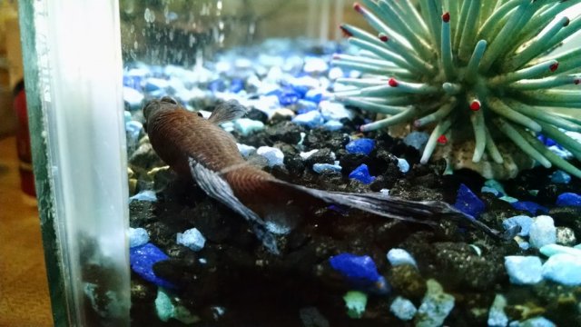 Back Side.jpg Back Side.jpg