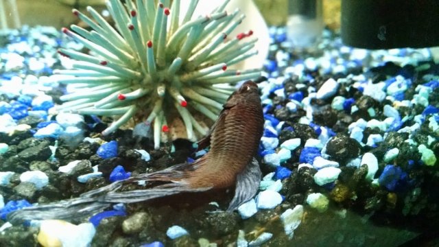 Full Body.jpg Full Body.jpg