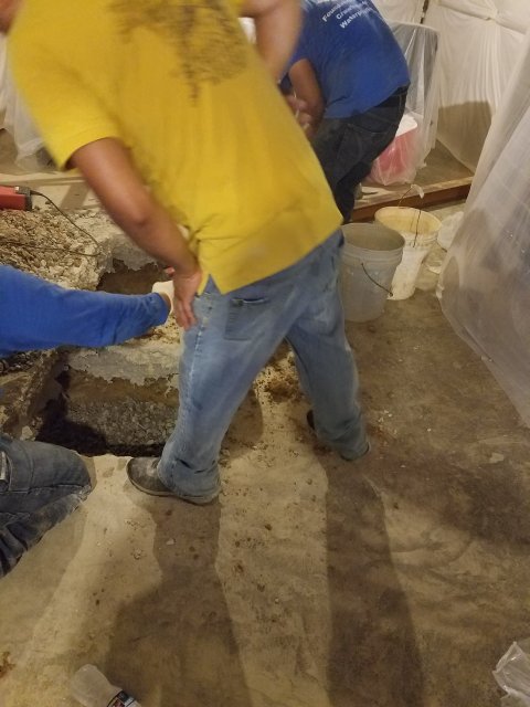 20180620_115230.jpg