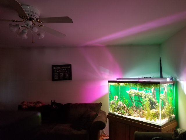 20180602_095610.jpg