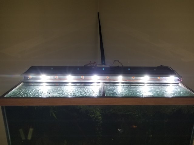 20180602_100216.jpg