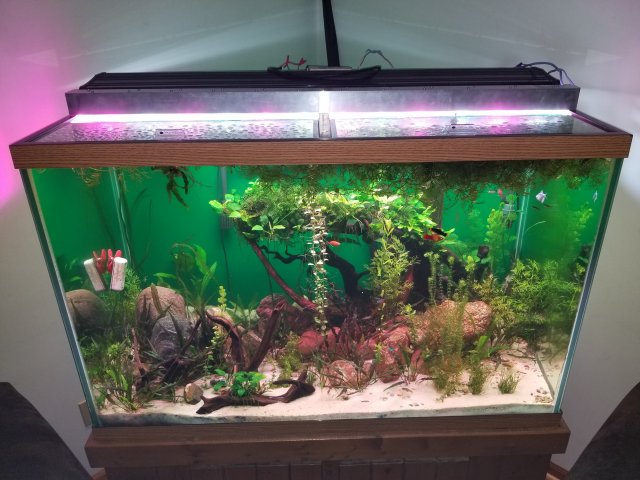 20180602_100348.jpg