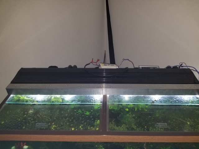 20180602_100139.jpg