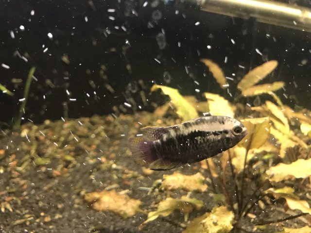 IMG_0198.jpg IMG_0198.jpg